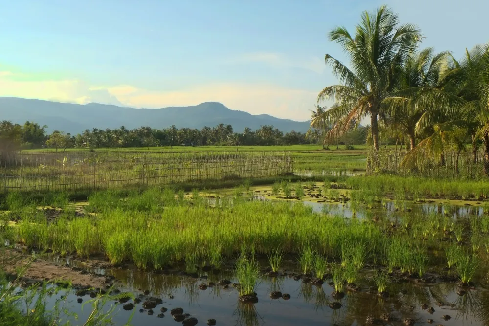 Kep – Phnom Penh – Departure